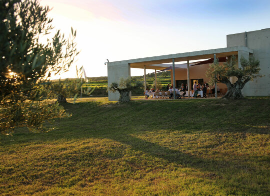 LA cave du domaine Les Amoureuses