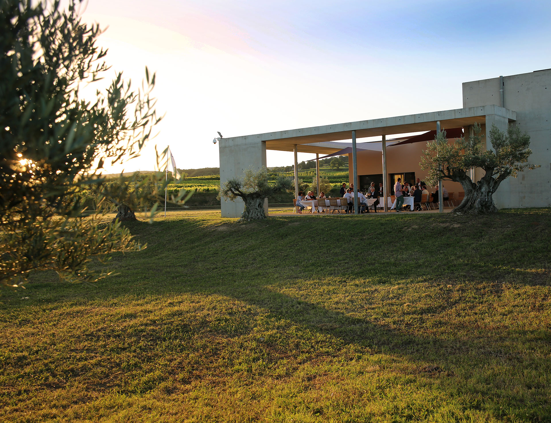 LA cave du domaine Les Amoureuses