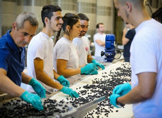 Les artisans du vin