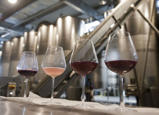 Vin du domaine Les Amoureuses