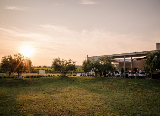 La cave du domaine Les Amoureuses