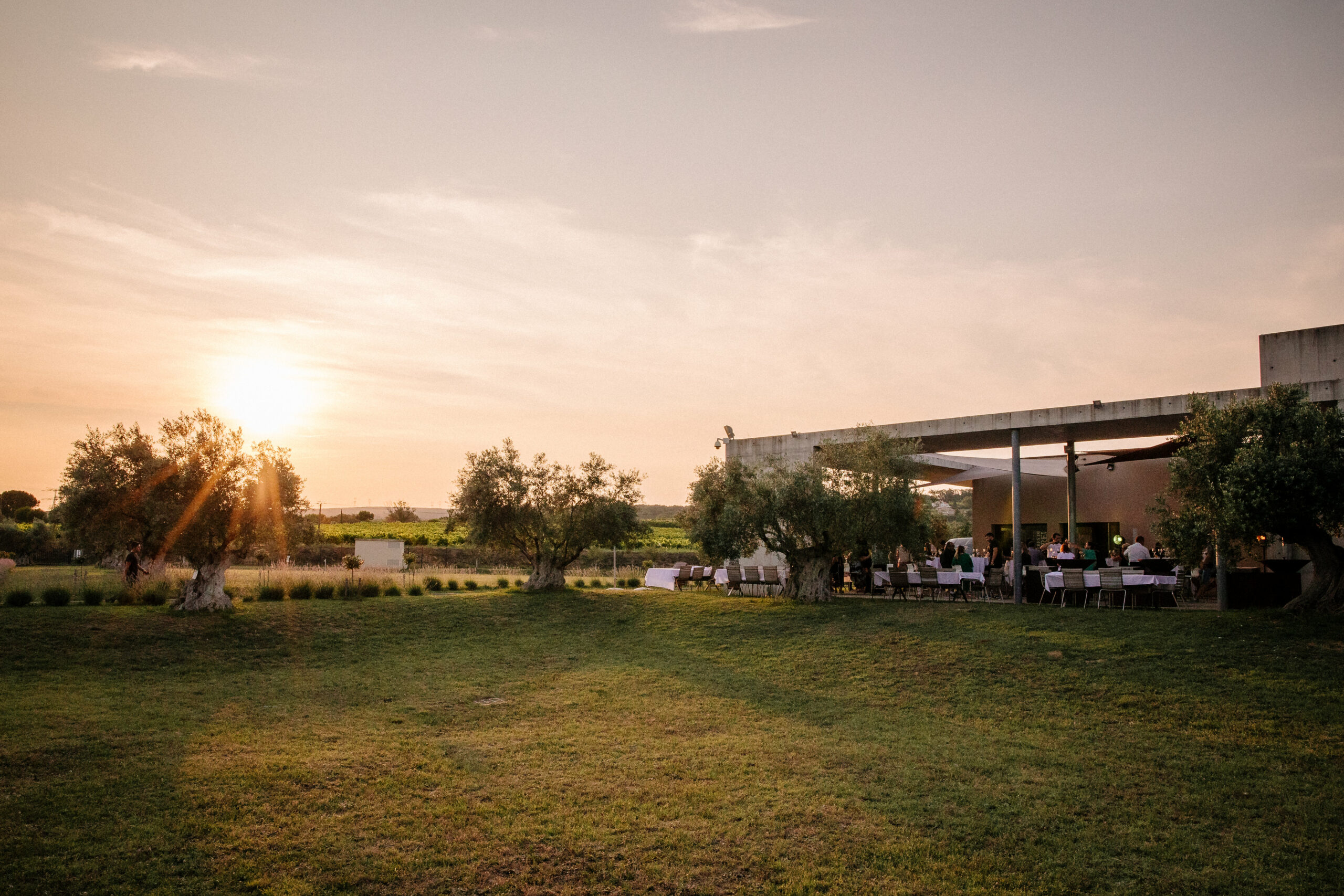 La cave du domaine Les Amoureuses